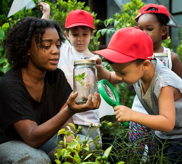 Notre méthode pour sélectionner des plantes de qualité